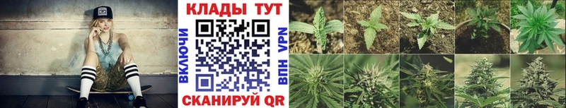 Где найти наркотики Олонец Бошки Шишки  Меф  ГАШ 