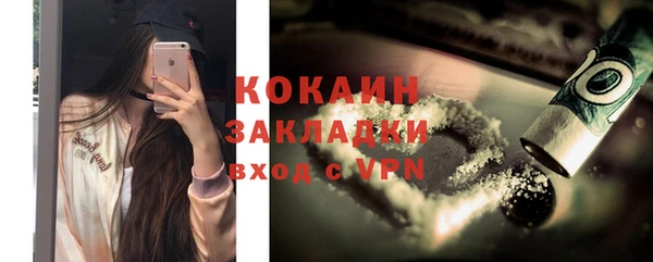 индика Рославль