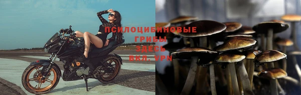 мет Алзамай