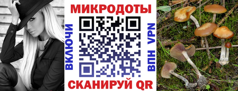 kraken зеркало  Олонец  Псилоцибиновые грибы Psilocybe  цена  