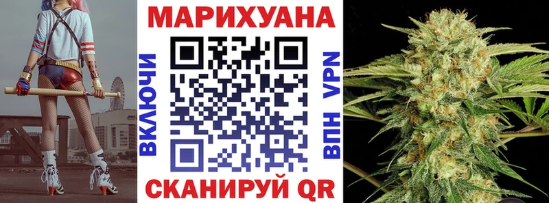 Канабис план  Олонец 